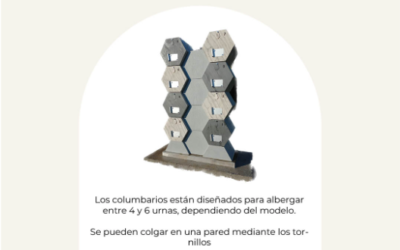 Diseño funcional