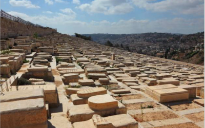 Curiosidades: Jerusalem, el monte de los olivos