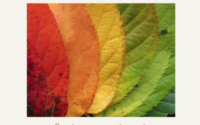 Master: Colores en el duelo